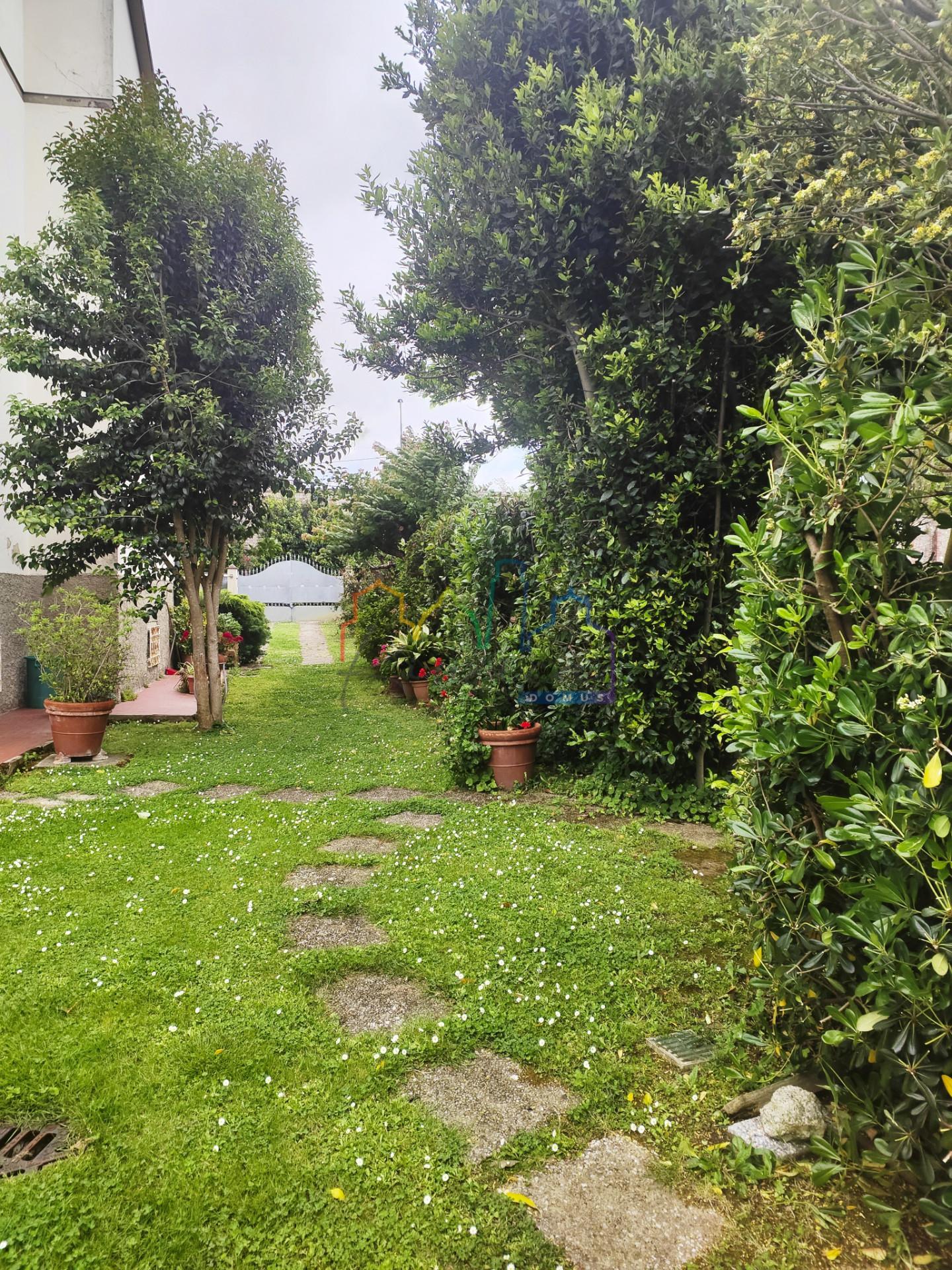 Foto annuncio 6