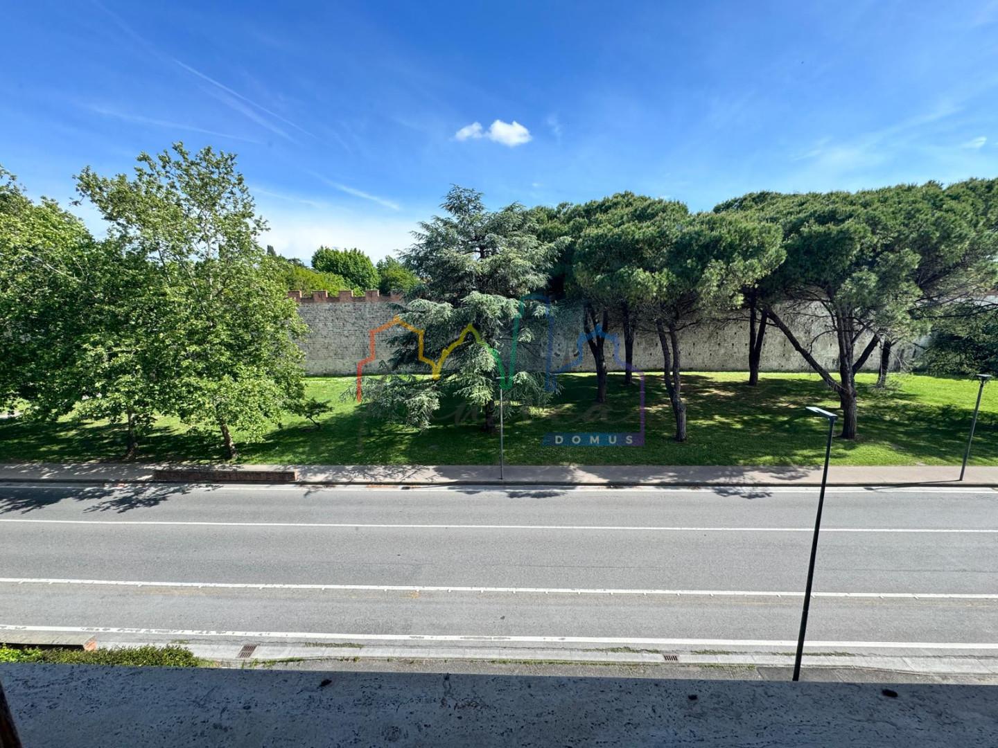 Foto annuncio 18