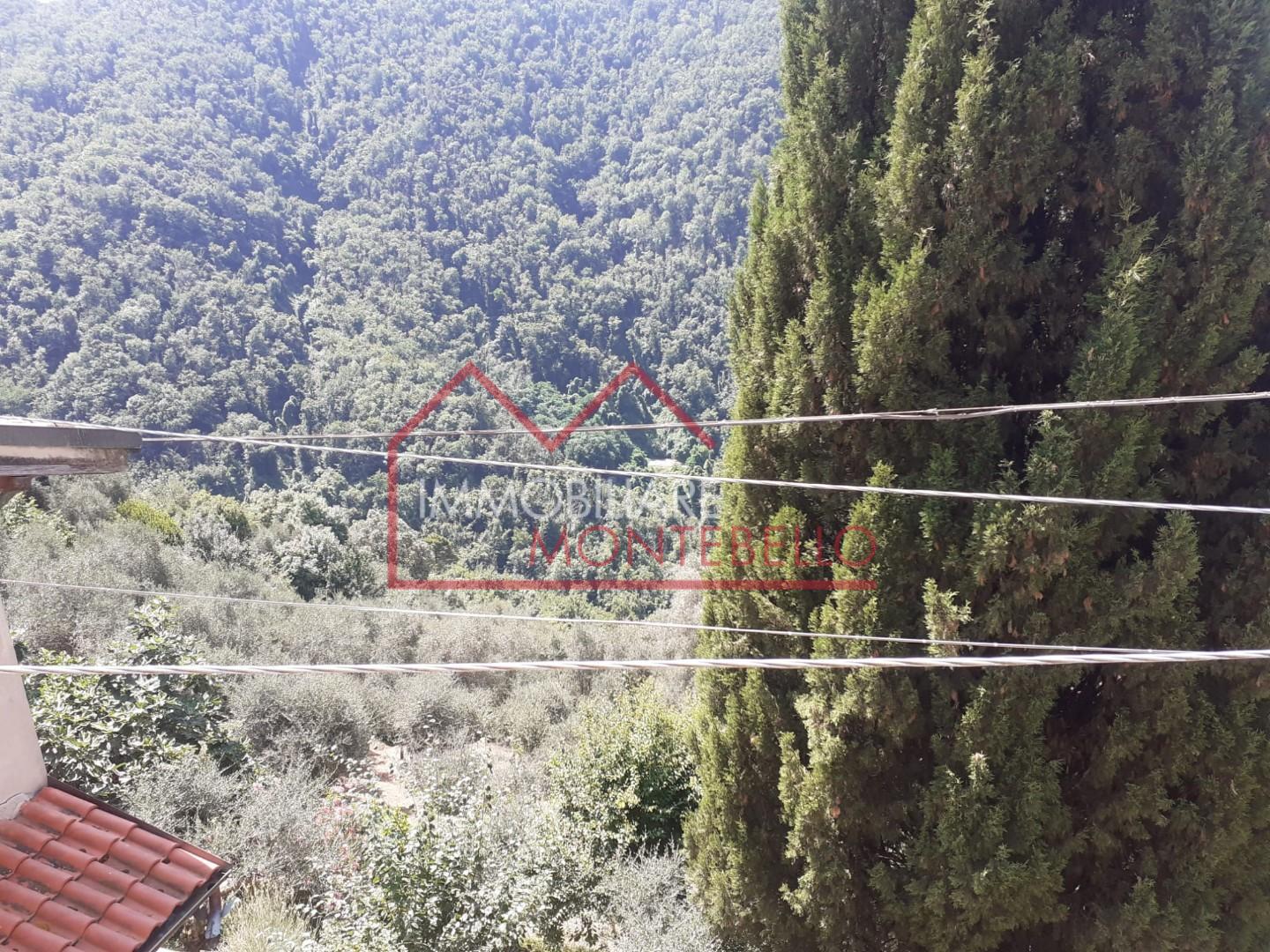 Foto annuncio 15