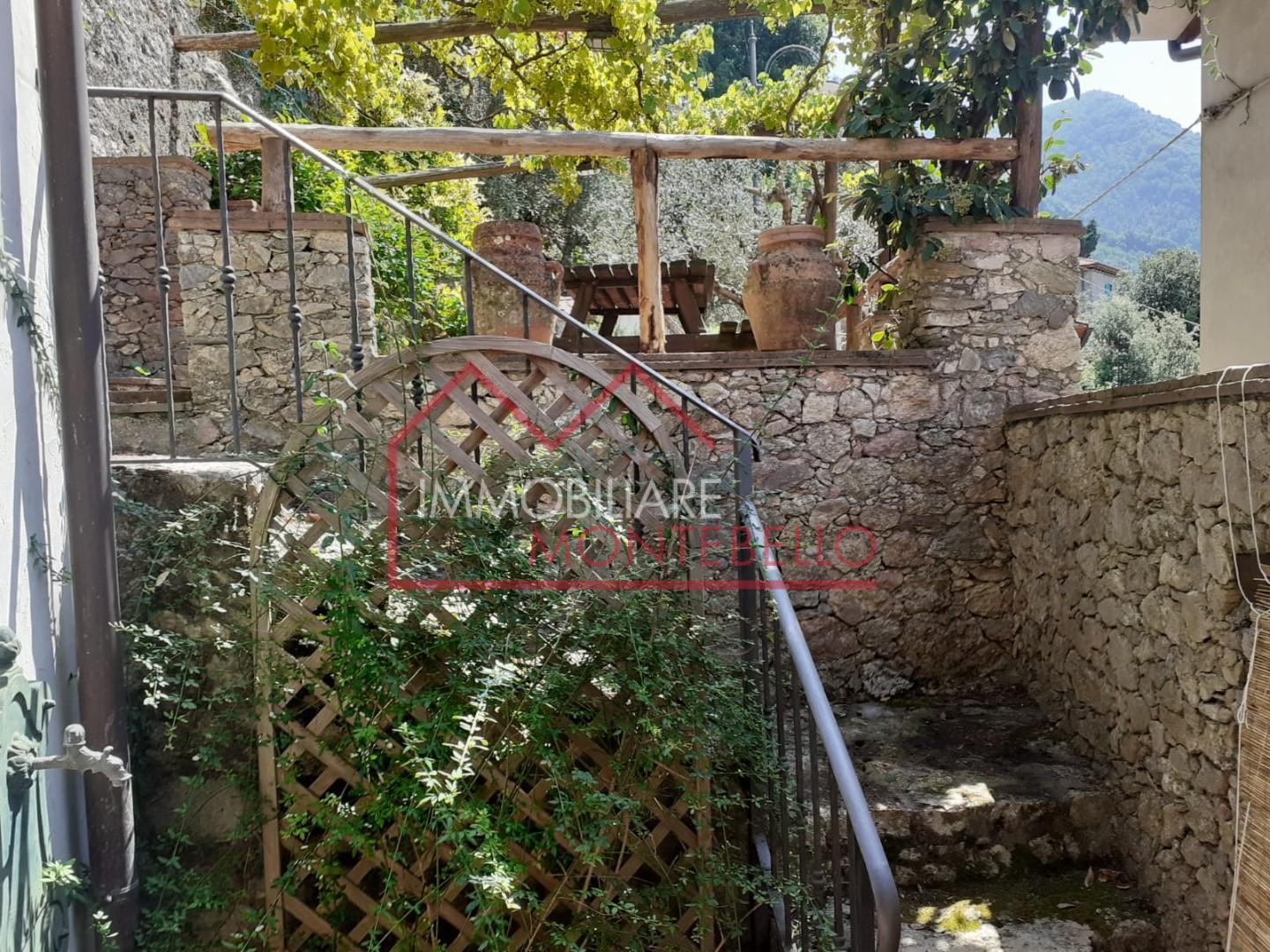 Foto annuncio 31