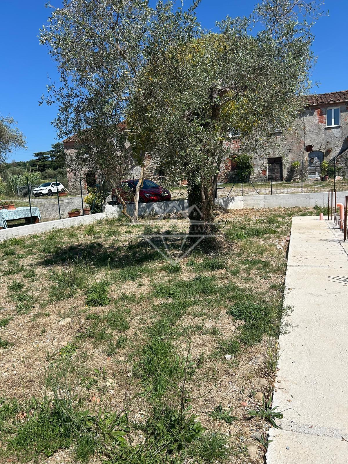 Foto annuncio 3