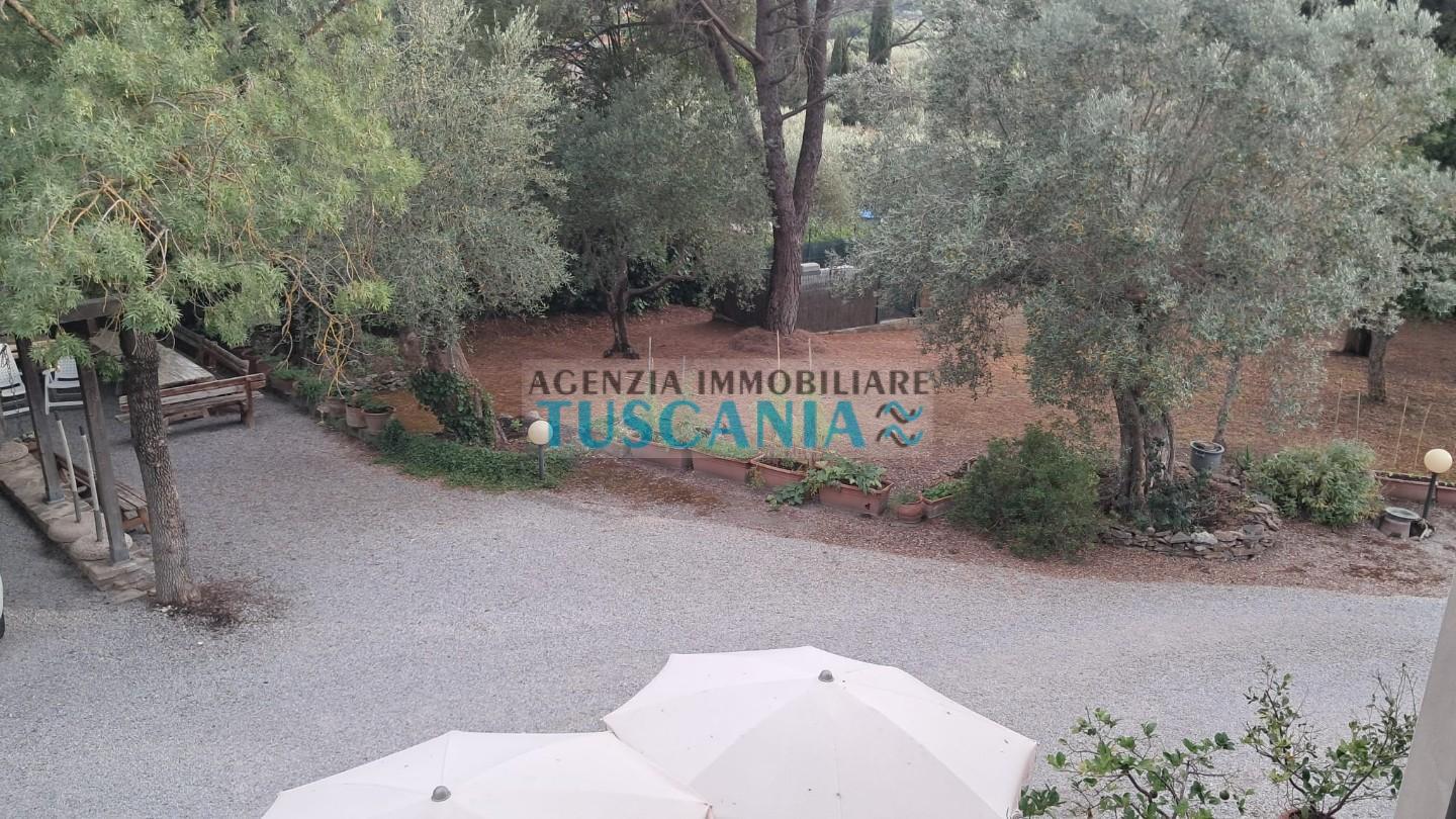 Foto annuncio 36