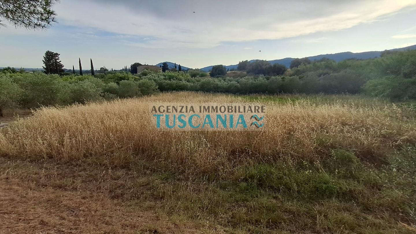 Foto annuncio 44