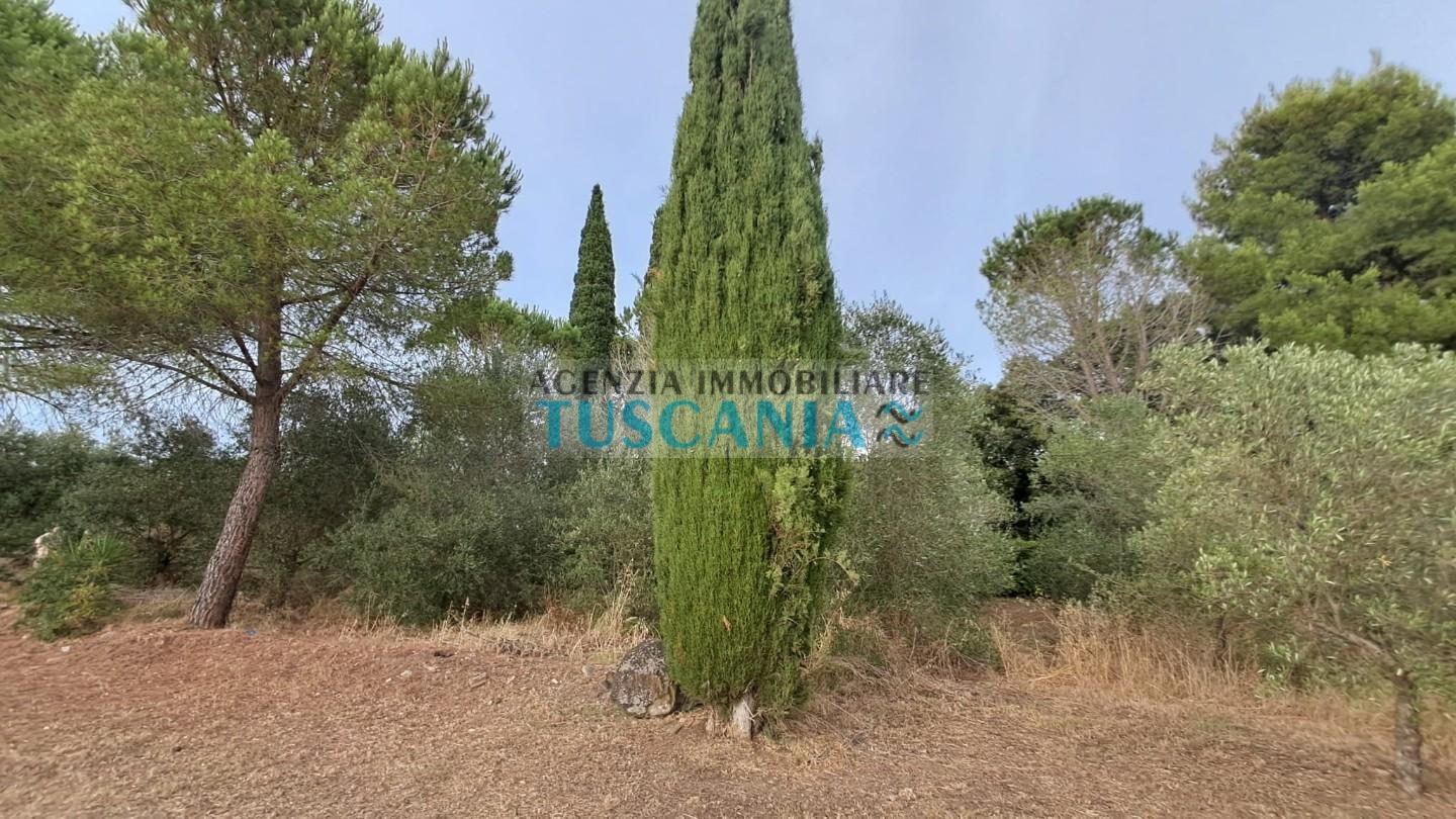 Foto annuncio 46