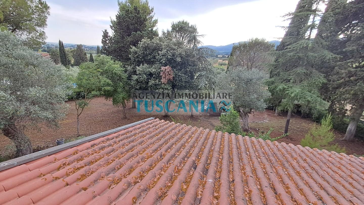 Foto annuncio 30