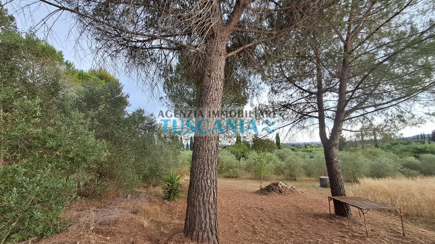 Foto annuncio 45