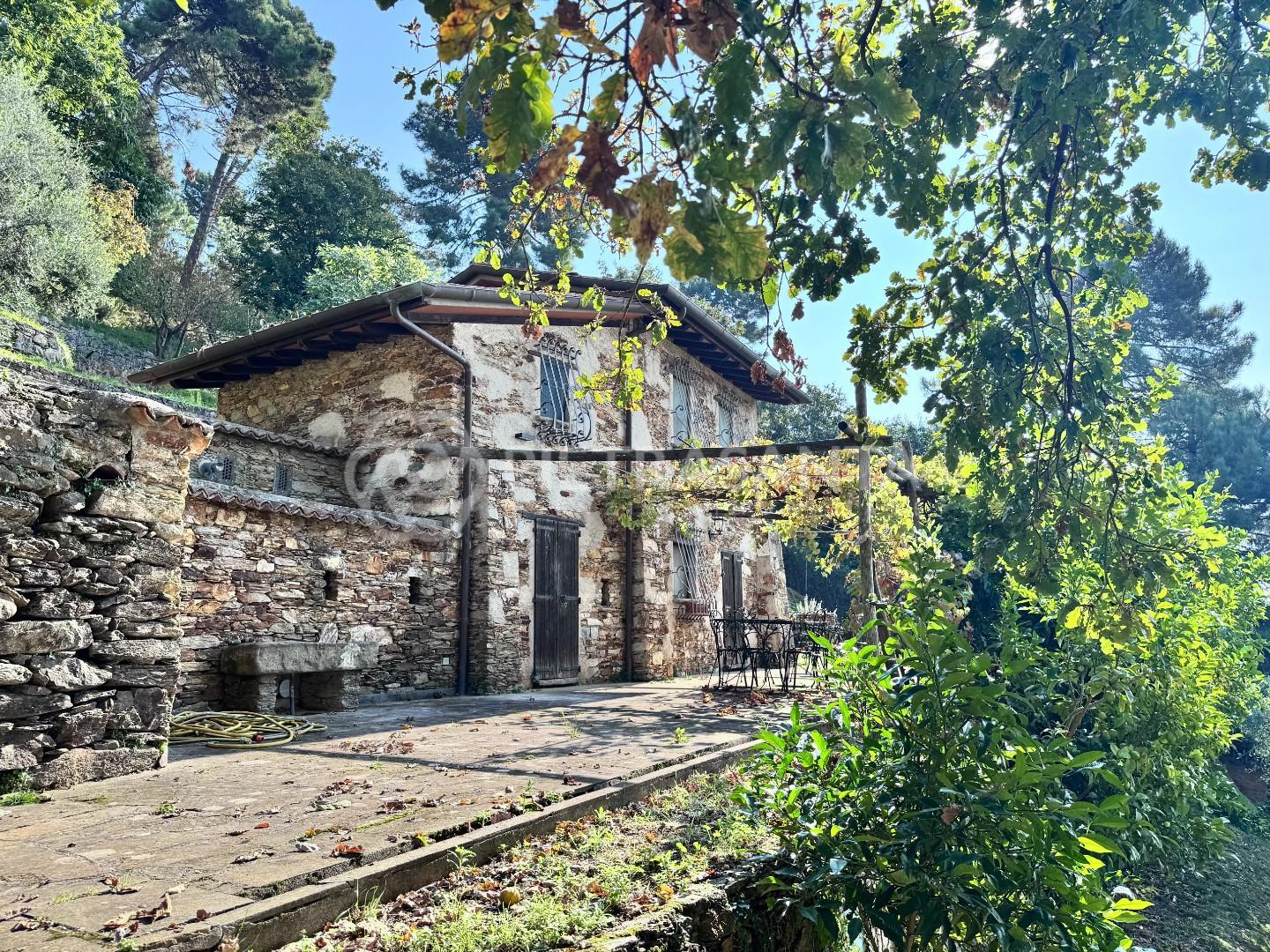 Foto annuncio 56