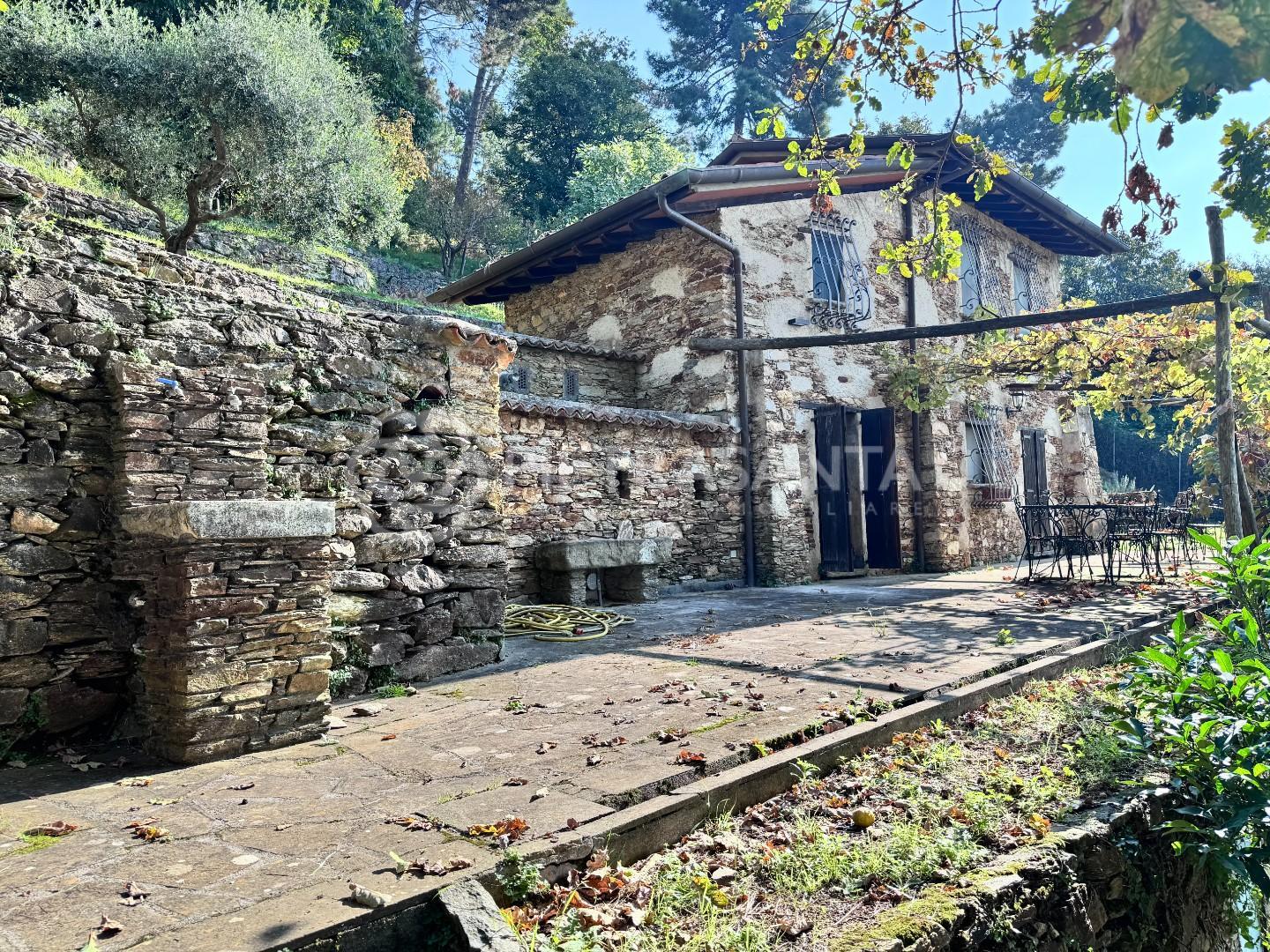 Foto annuncio 39