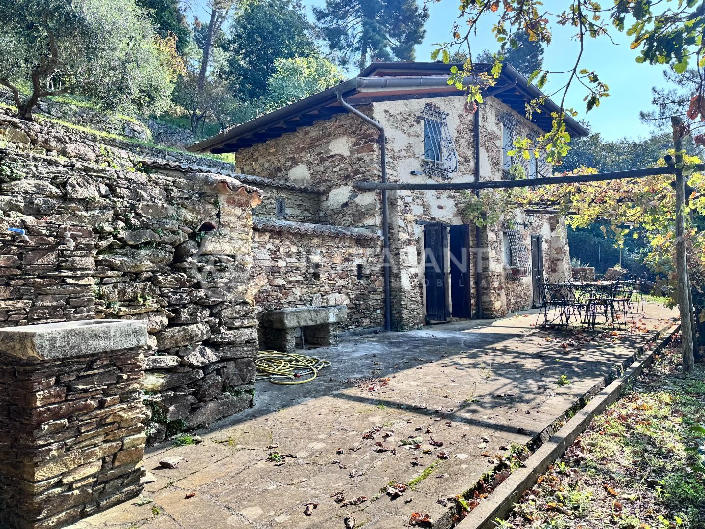 Foto annuncio 40