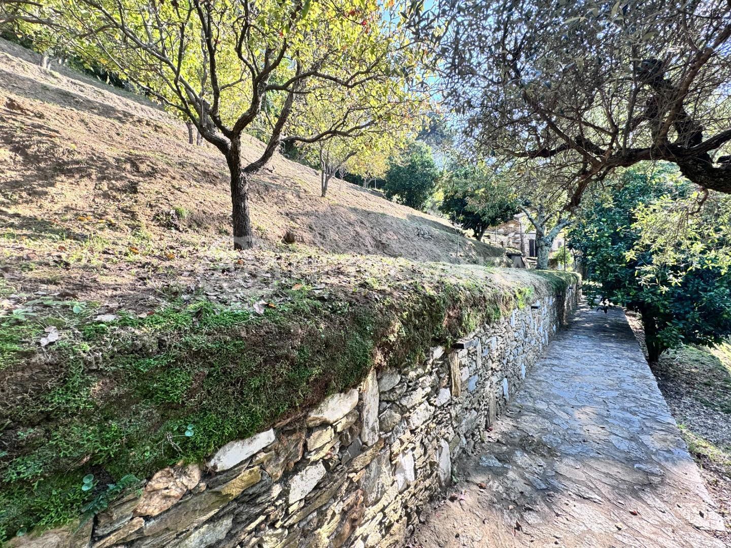 Foto annuncio 37