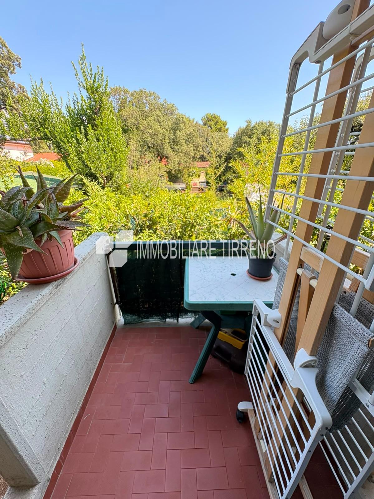 Foto annuncio 18