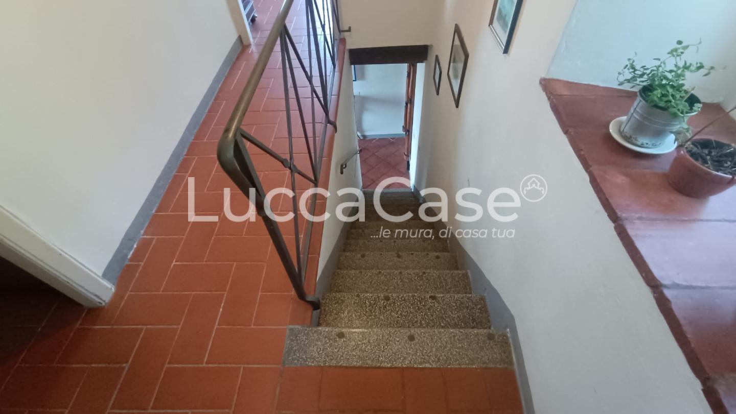 Foto annuncio 39