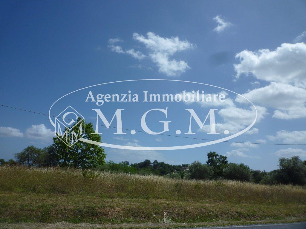 Immagine 2 di Terreno residenziale in vendita  a Santa Maria A Monte