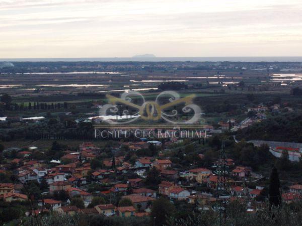 Foto annuncio 6