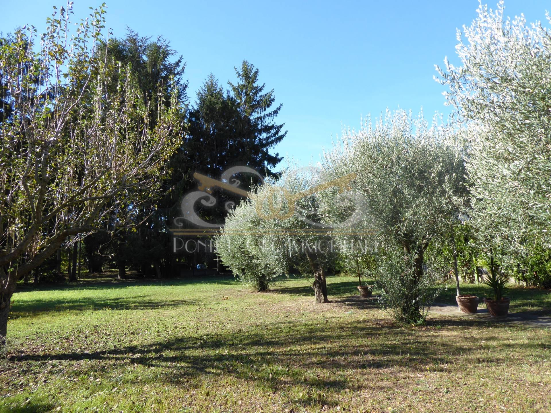 Foto annuncio 9