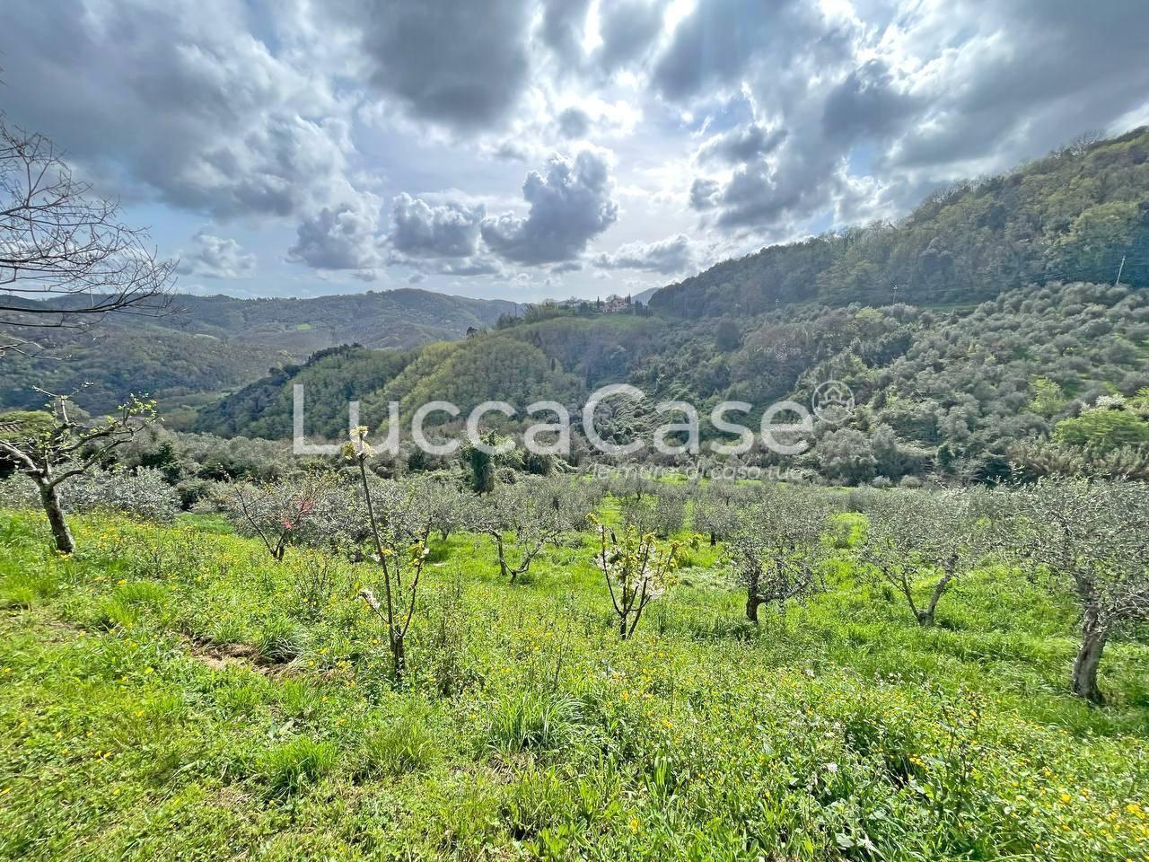 Immagine 24 di Casa colonica in vendita  a Pescaglia