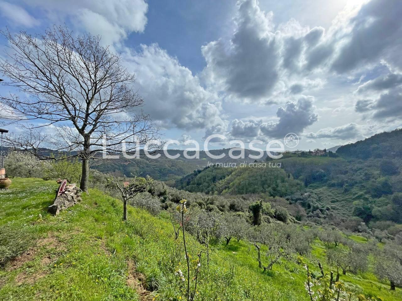 Immagine 22 di Casa colonica in vendita  a Pescaglia