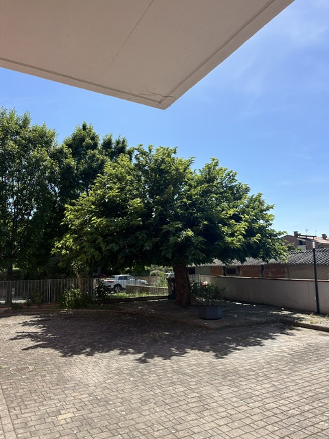 Foto annuncio 8