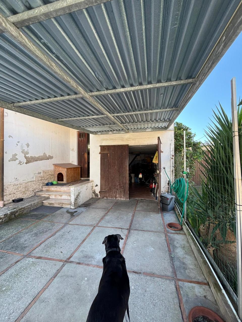 Immagine 27 di Villa in vendita  a Pisa