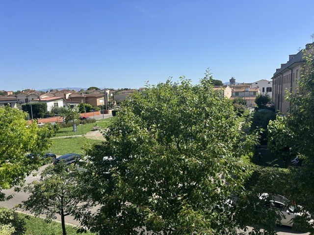 Foto annuncio 17