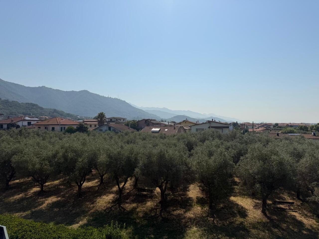 Foto annuncio 29