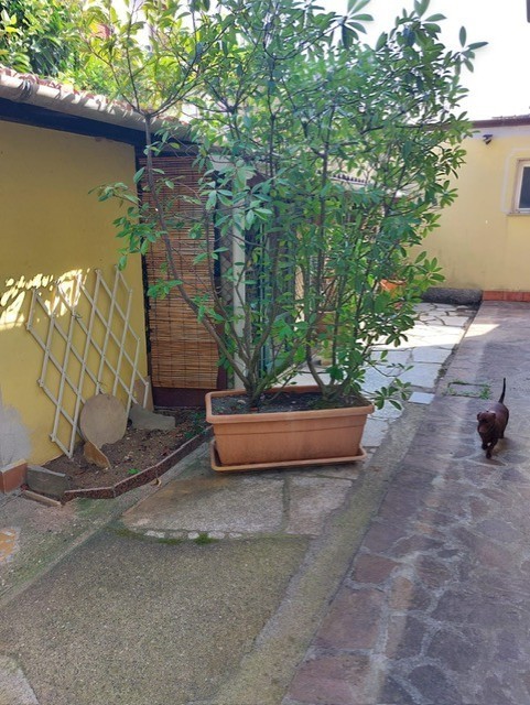 Foto annuncio 39