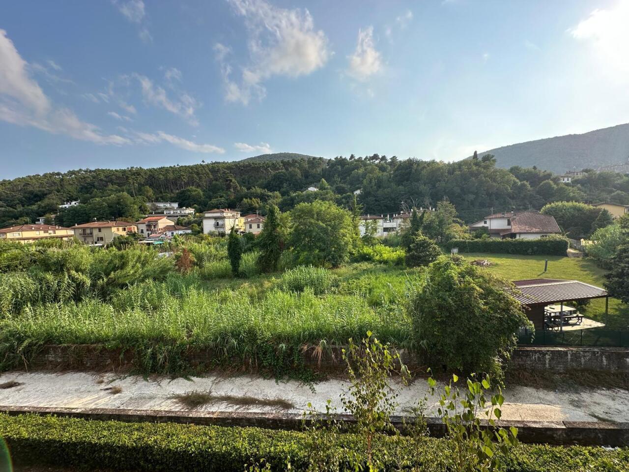 Foto annuncio 7