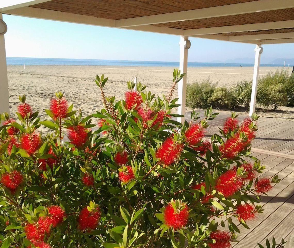 Immagine 5 di Terratetto in vendita  a Ameglia