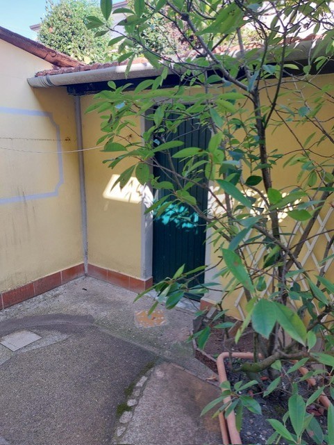 Foto annuncio 55