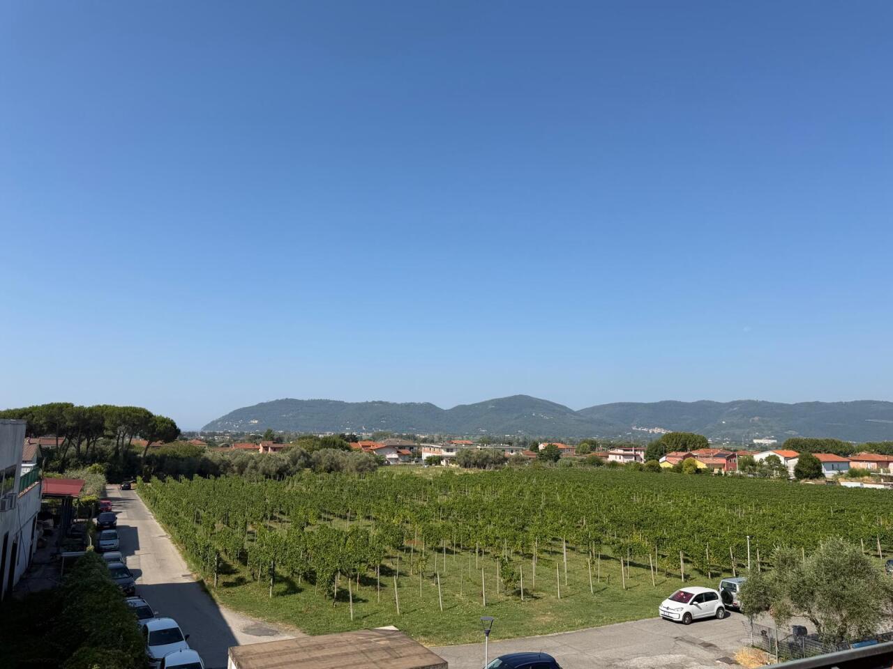 Foto annuncio 27