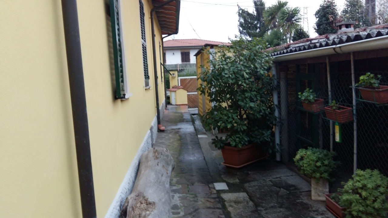 Foto annuncio 8