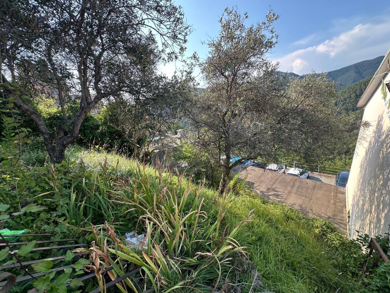 Foto annuncio 12
