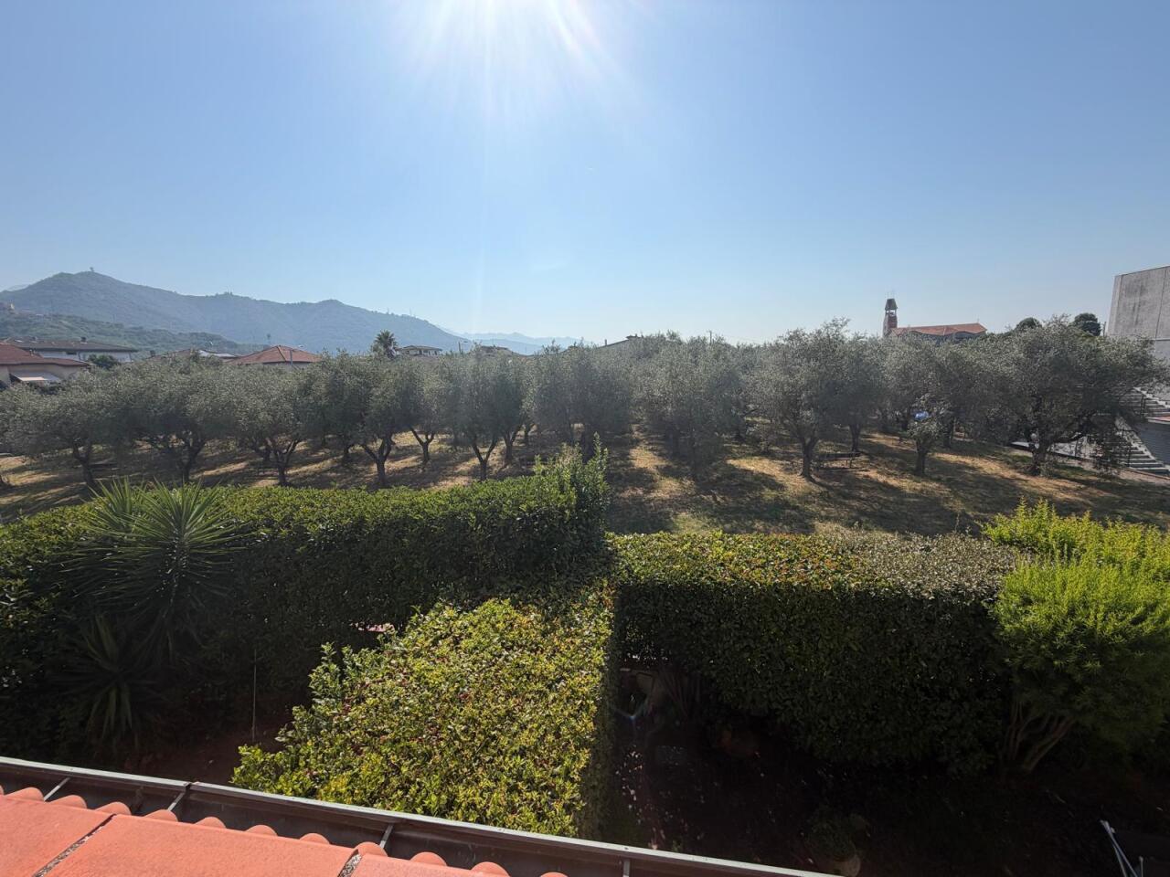 Foto annuncio 28