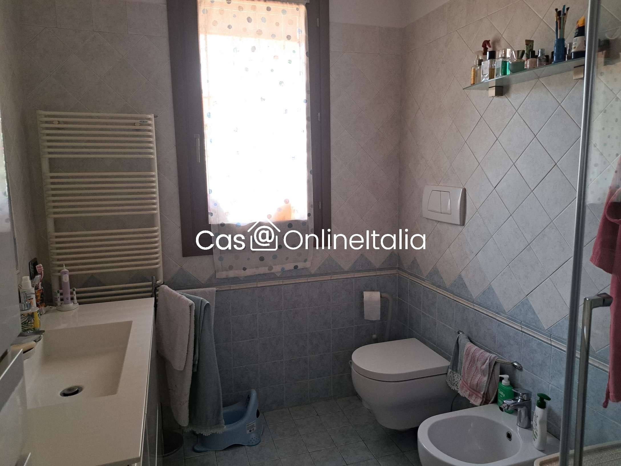 Foto annuncio 43