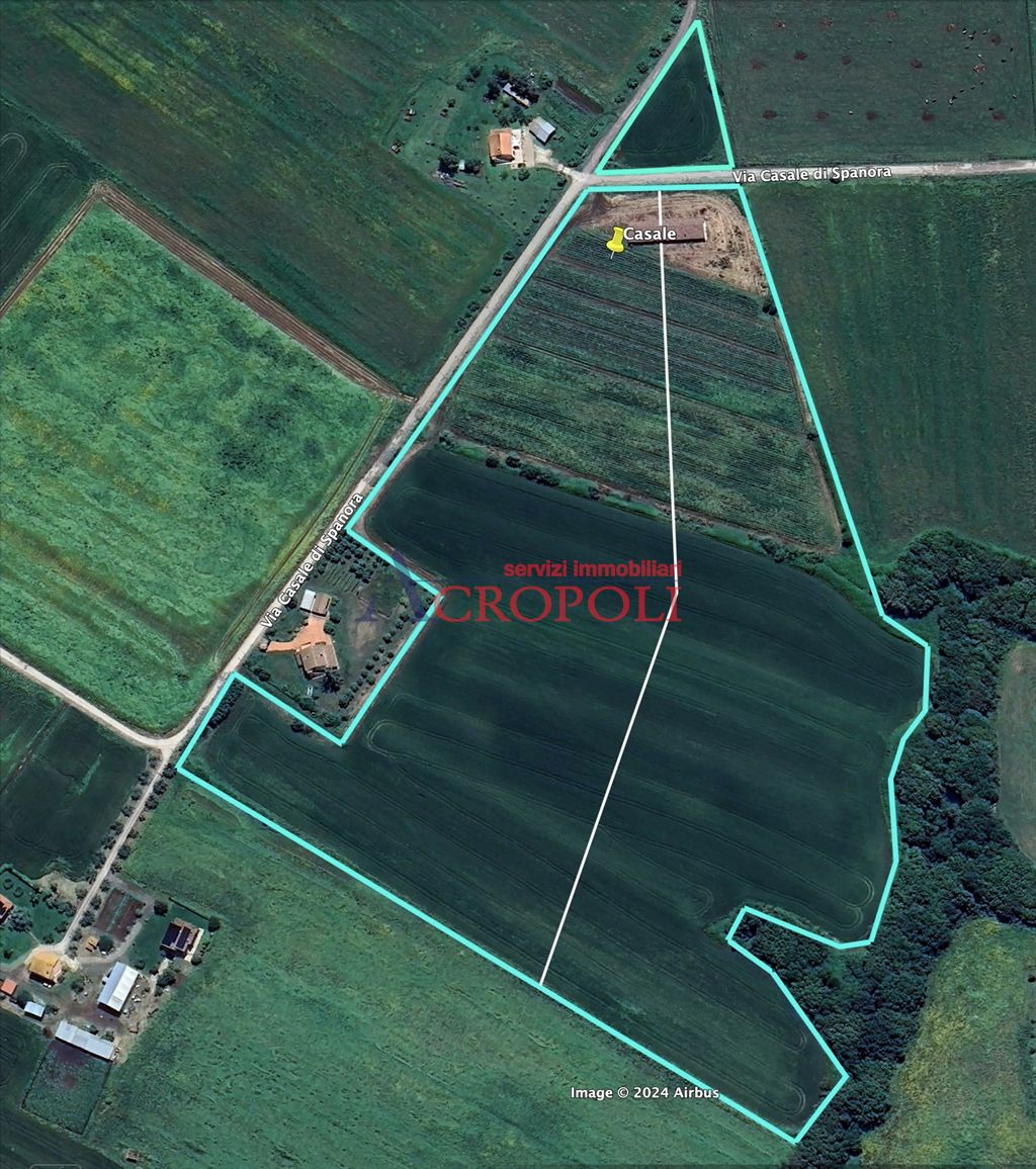 Immagine 10 di Villa in vendita  a Anguillara Sabazia