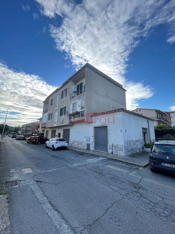 Immagine 6 di Negozio in affitto  a Anguillara Sabazia