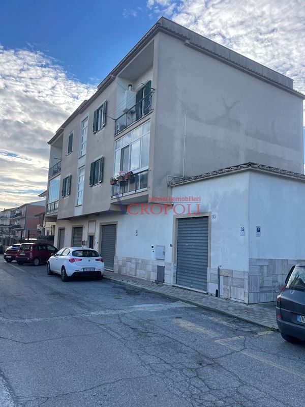 Immagine 4 di Negozio in affitto  a Anguillara Sabazia