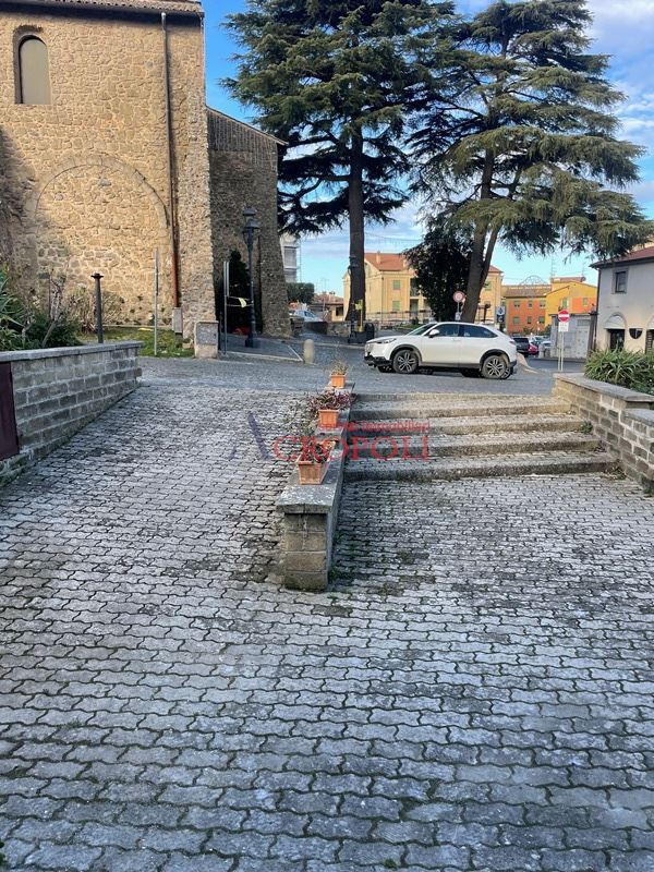 Immagine 8 di Negozio in affitto  a Anguillara Sabazia