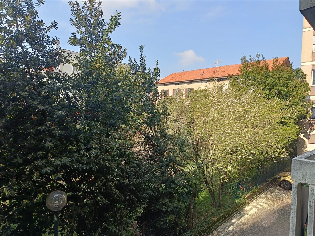 Foto annuncio 8