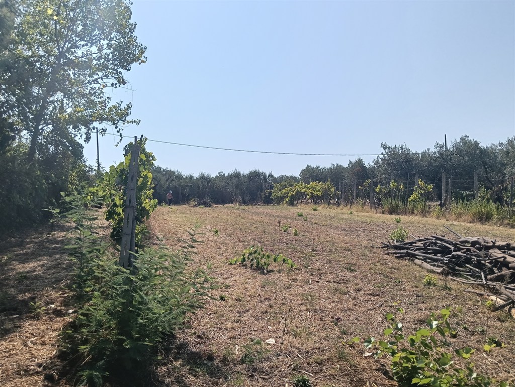 Foto annuncio 2