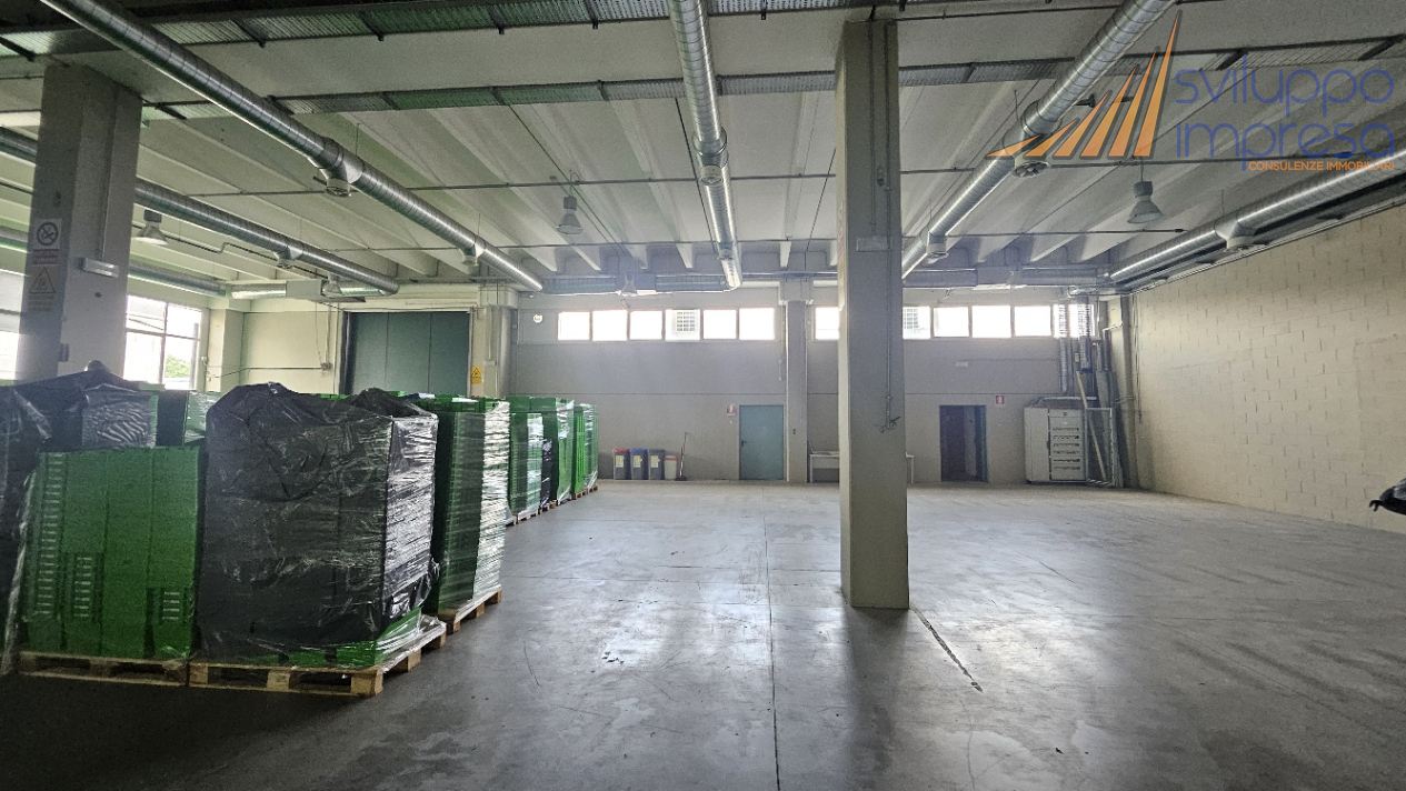 Foto annuncio 4
