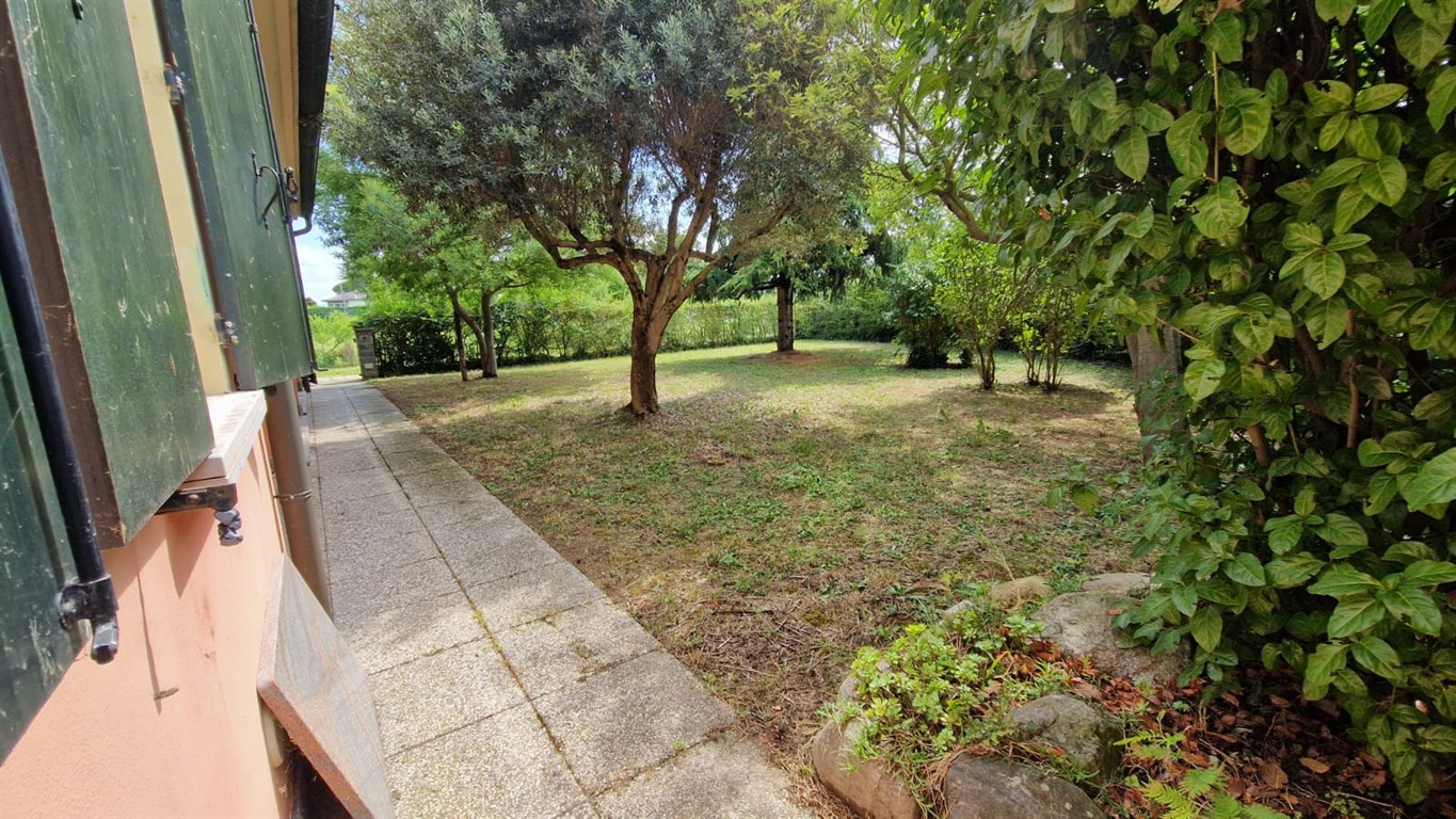 Foto annuncio 2