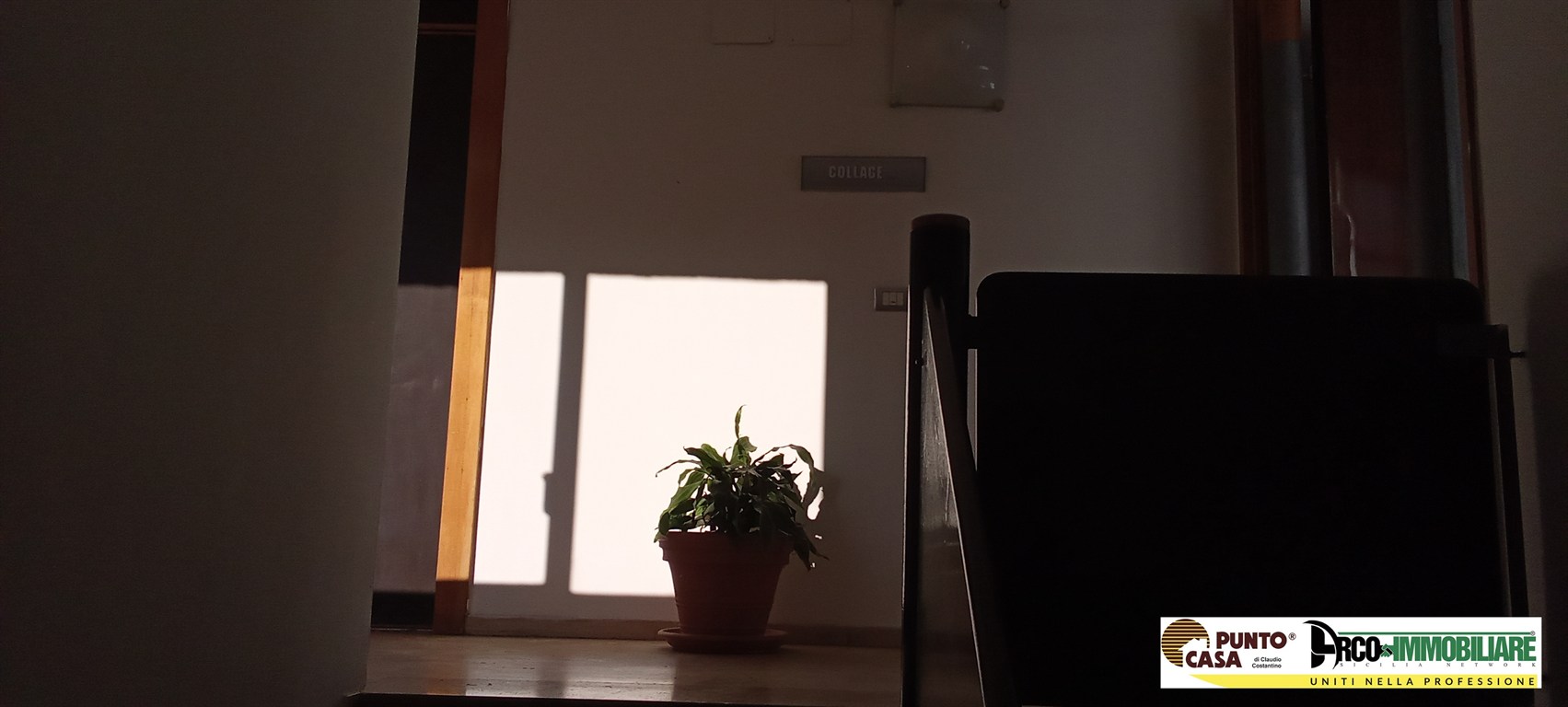 Foto annuncio 4