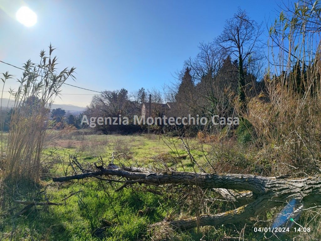 Foto annuncio 5