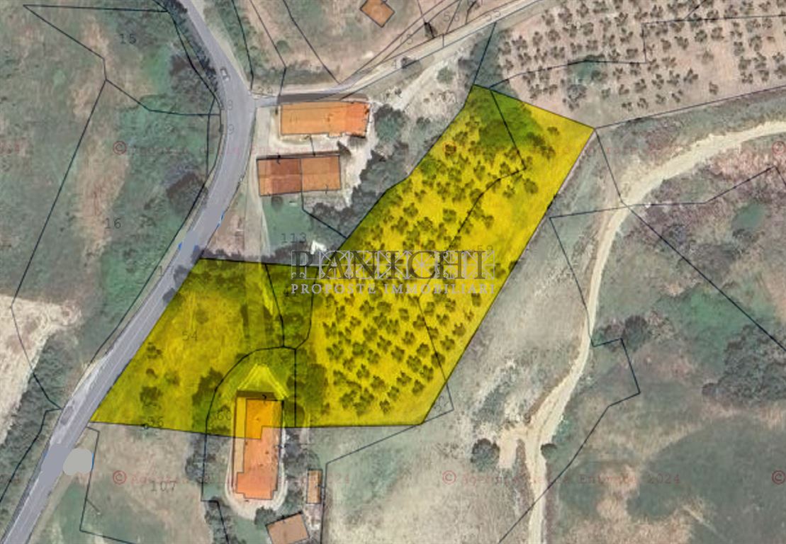 Immagine 10 di Rustico / casale in vendita  a Asciano