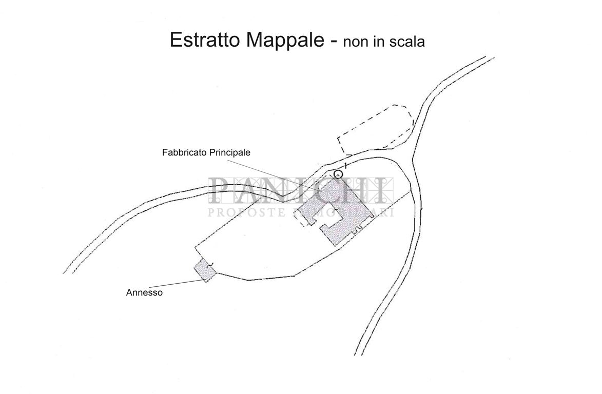 Immagine 9 di Rustico / casale in vendita  a Asciano