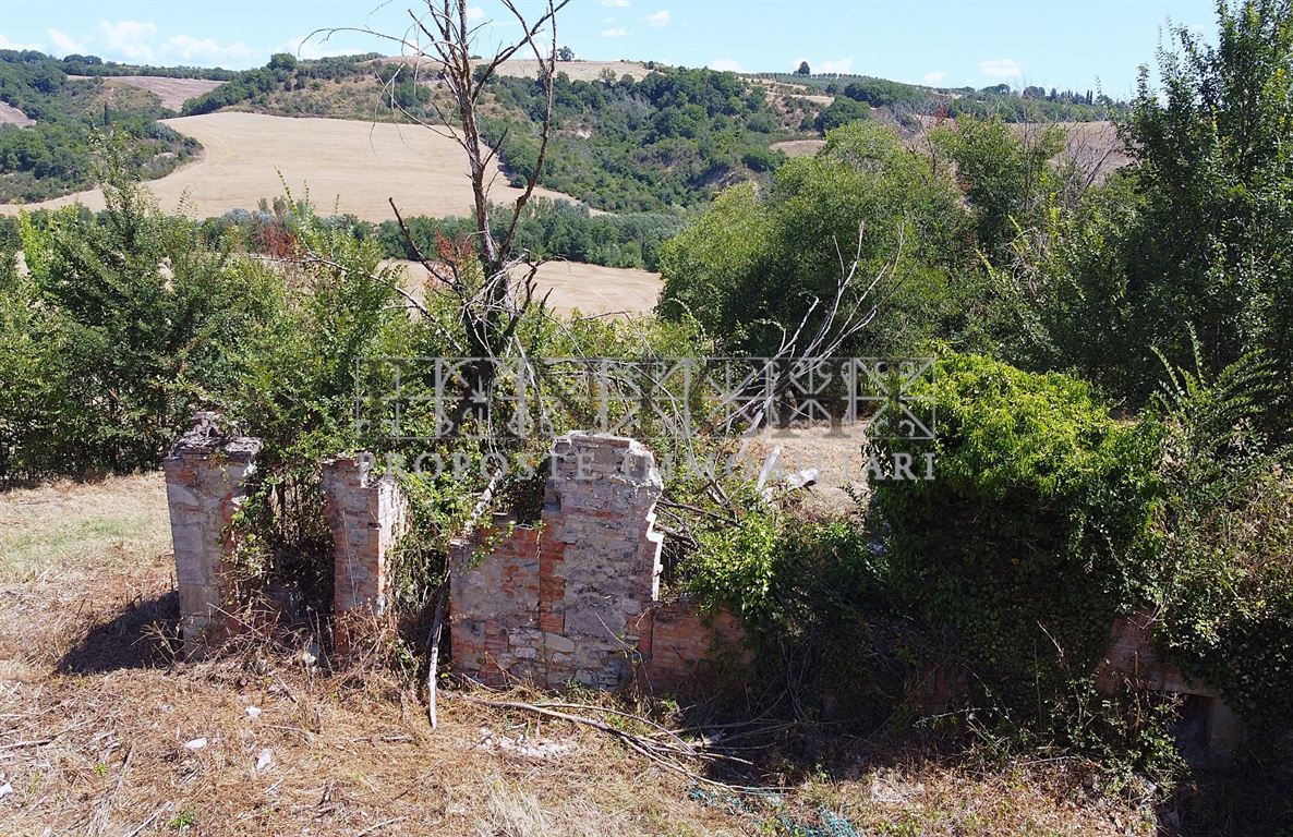 Foto annuncio 6