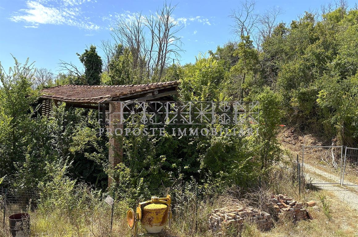 Foto annuncio 5