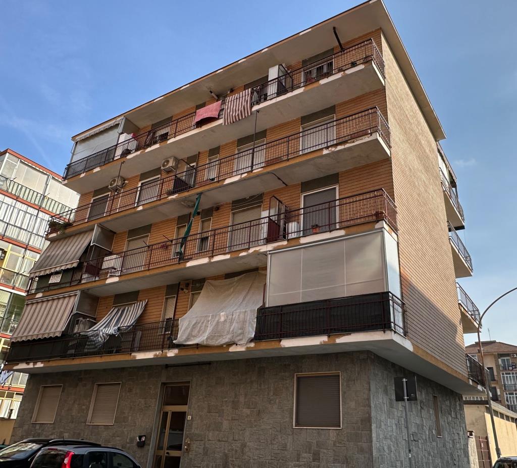 Foto annuncio 9
