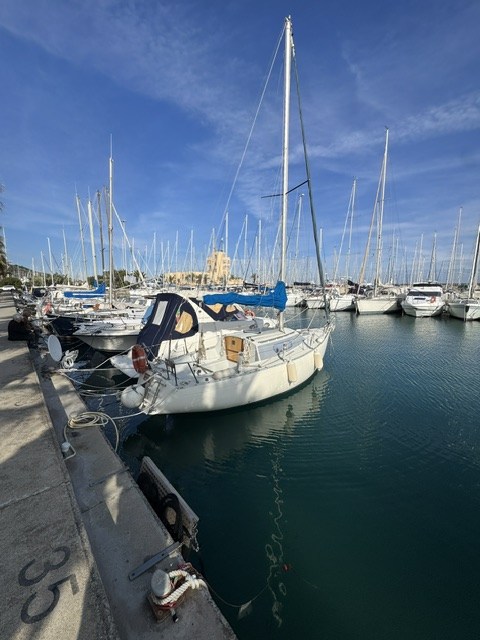 Foto annuncio 7